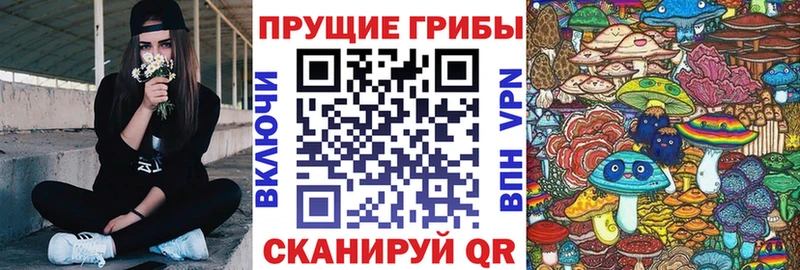 как найти закладки  Нефтегорск  Псилоцибиновые грибы ЛСД 